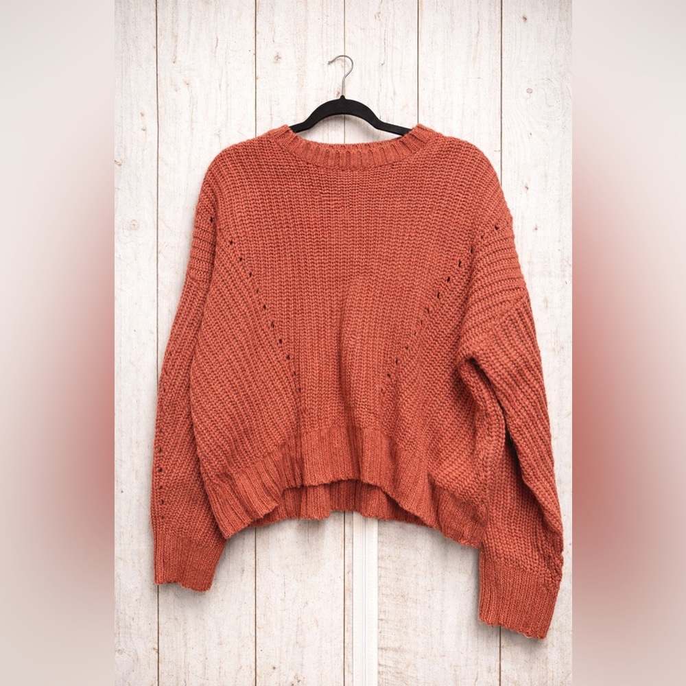 Streetwear Society Rust Crew Neck Sweater